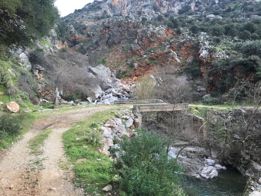 From Rethymno: Off-Road Vehicle Safari with Lunch - Melidoni olive oil mill: how liquid gold actually gets made