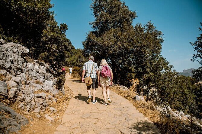Full-Day/Half-Day Tour : Lasithi Plateau & Knossos Palace - Morning Pickup and the 8:00 Start: What to Expect on the Road