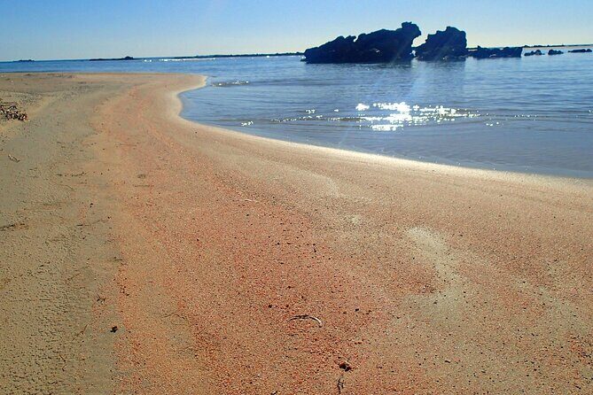 Full Day Private Minivan Tour to Elafonisi Beach and kedrodasos - Topolia on the way back: optional food with a view
