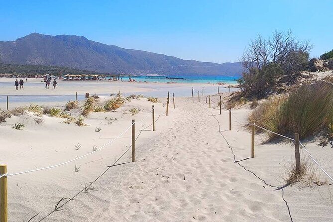 Full Day Private Minivan Tour to Elafonisi Beach and kedrodasos - Price and value: what $301.26 per group buys you