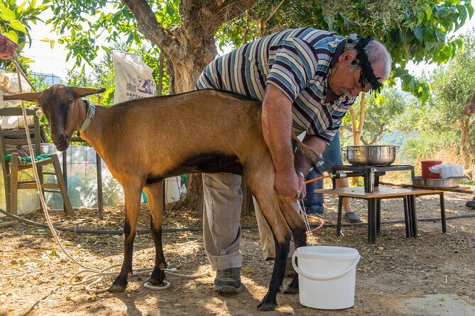 Full-Day Small-Group Tour in Crete with Zeus Cave Visit - Aposelemis Dam: The Flooded Village Effect and Bird-Watching Pause