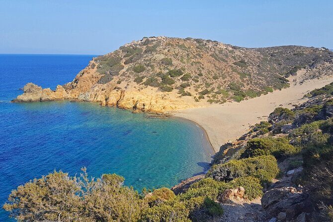 Full-Day Tour to Vai Palm Beach, Toplou Monastery, and Sitia Town - Vai Palm Beach: the big natural palm forest moment