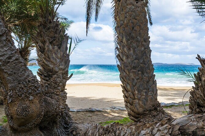 Full-Day Tour to Vai Palm Beach, Toplou Monastery, and Sitia Town - Sitia town: a calm coastal break with room for coffee and sweets