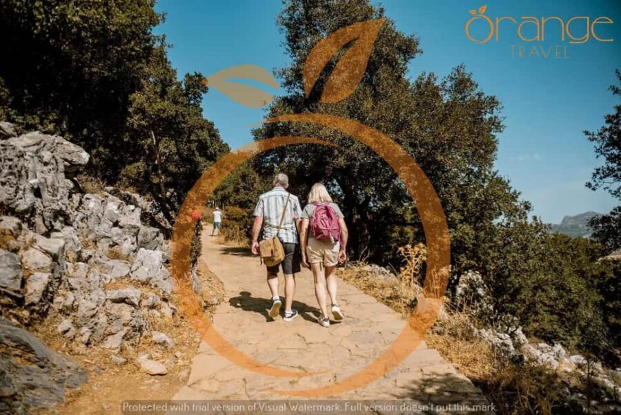Full-Day Tour:Lasithi Plateau -Mythology Park&Knossos Palace - Lassithi Plateau: Windmills, Cool Air, and the Real Crete Feel