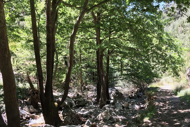 Fygou and Agia Irini Gorge Loop Half Day Hiking Tour - Agia Irini Gorge: Green Shade, Fresh Water, and Gorge Quiet