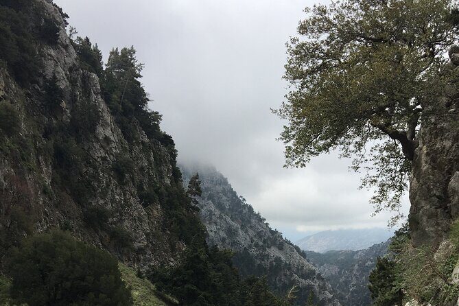 Fygou and Agia Irini Gorge Loop Half Day Hiking Tour - The Climb Back Up: Why the Loop Feels Balanced Instead of Exhausting