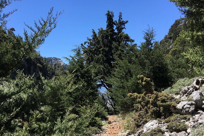 Fygou and Agia Irini Gorge Loop Half Day Hiking Tour - Vasiliki Strata (Venetian Path): Walking a Historic Route Through Changing Terrain