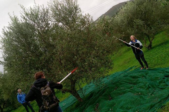 Half-Day Georgioupolis Off-Road Adventure with Meal - Key highlights that make this tour worth your time