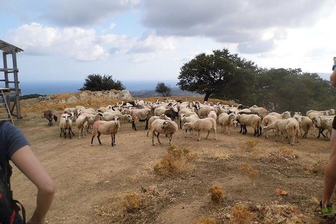 Half-Day Georgioupolis Off-Road Adventure with Meal - Vryses meal: the traditional stop that actually fills you up