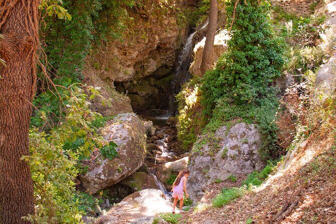 Half-Day Private Tour & Picnic in Real Cretan Countryside Retreat - Private countryside time from Heraklion (and why it’s good value)