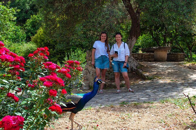 Half-Day Private Tour & Picnic in Real Cretan Countryside Retreat - Price and logistics: the small-group sweet spot
