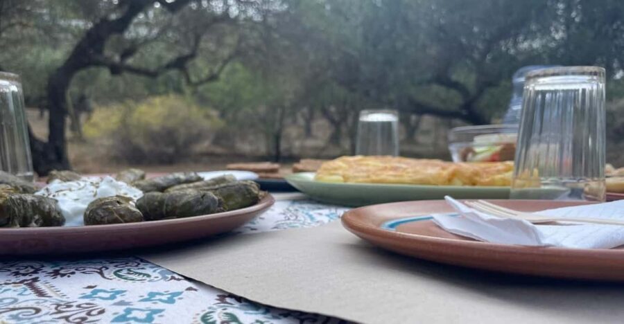 Heraklion: Cretan Farmers Brunch and Olive Grove Tour - Brunch in an Olive Grove Near Heraklion
