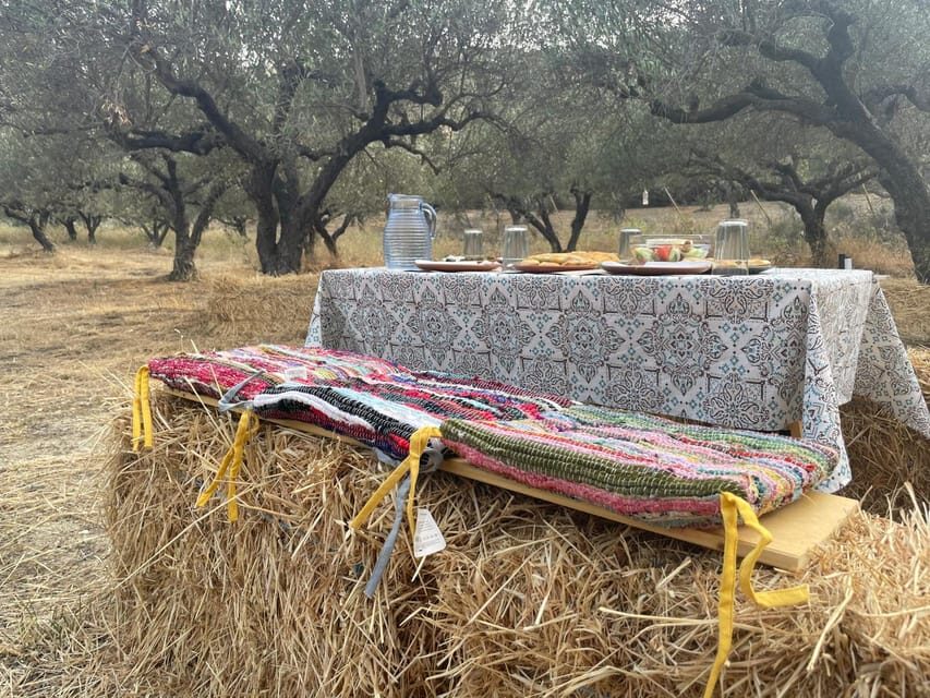 Heraklion: Cretan Farmers Brunch and Olive Grove Tour - The Olive Grove Tour: How It Connects to Olive Oil