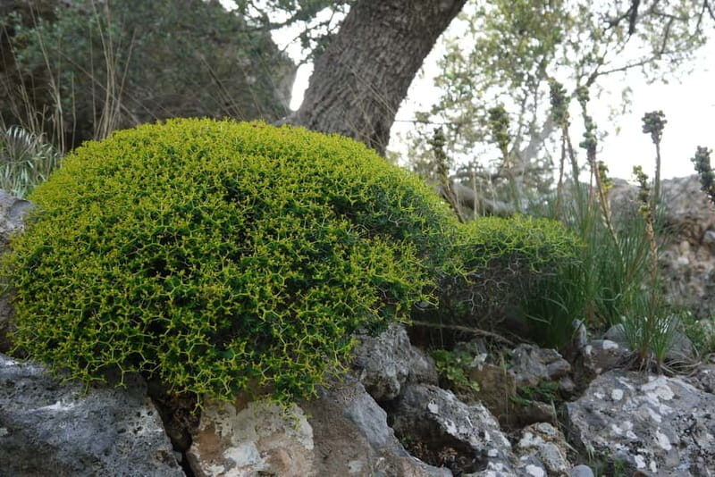 Heraklion Crete: Imbros Gorge Hike - Pickup and drop-off: lots of towns, lots of stops