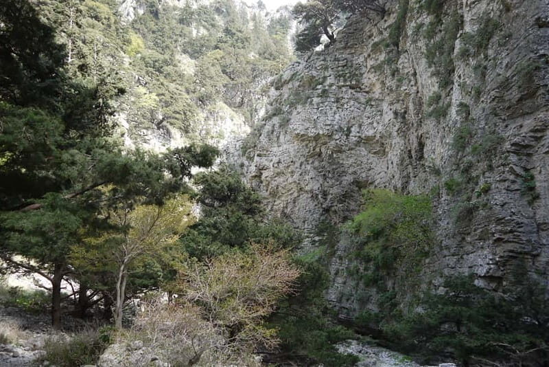 Heraklion Crete: Imbros Gorge Hike - After the gorge: cooling off in the Sfakia coast area