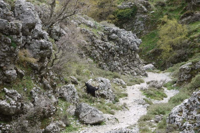 Heraklion Crete: Imbros Gorge Hike - What to bring (and what can make or break the hike)