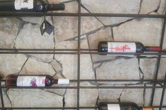Heraklion Ecobike Tour & Cretan Wine Tasting Experience - The one drawback to plan around: ride comfort and safety checks