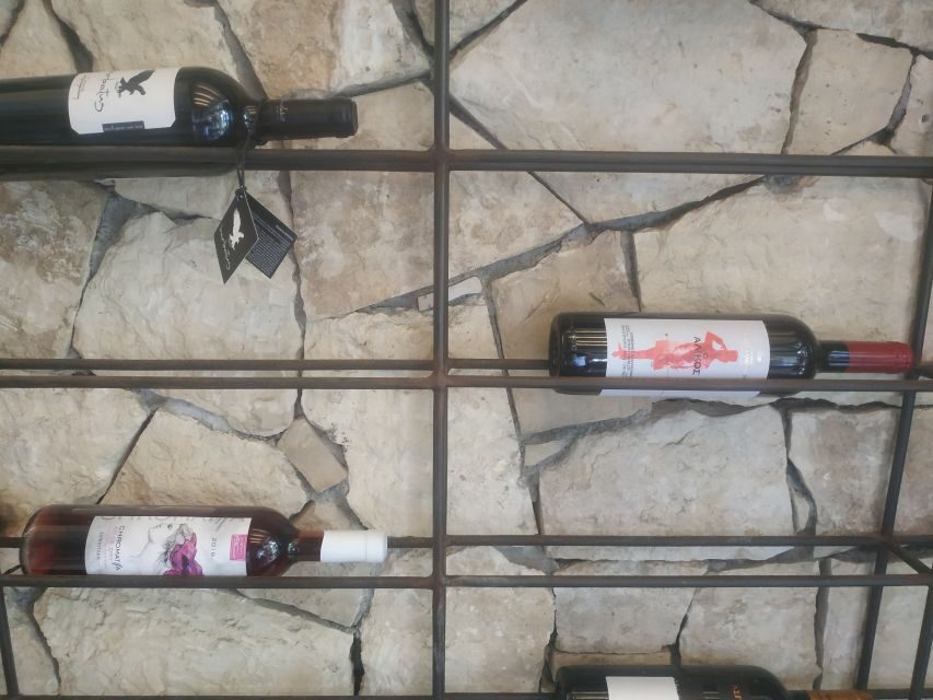 Heraklion: Ecobike Tour with Wine Tasting - The Heraklion route: fountains, market streets, and Agios Minas Cathedral