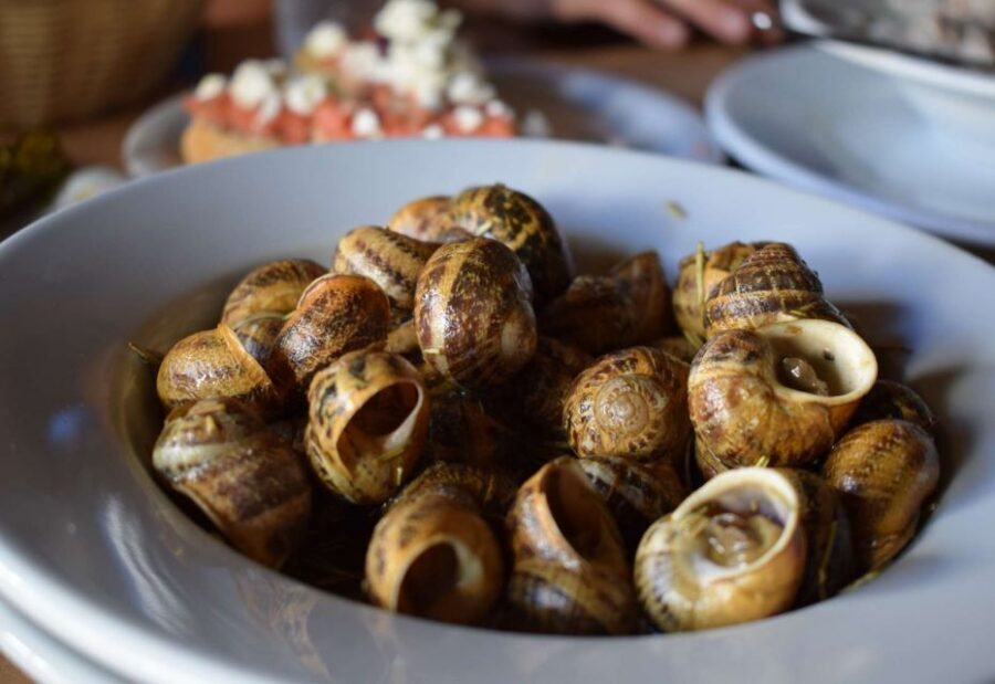 Heraklion: Gourmet Flavours Walking Tour - Who This Tour Suits Best (and Who Might Prefer Something Else)