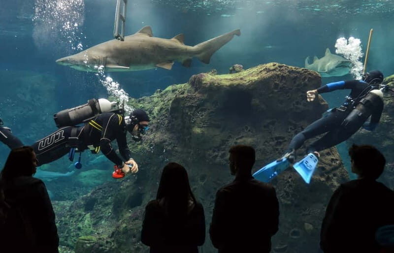 Heraklion: Heraklion Market & CretAquarium <em>SKIP The Line – Pickup and Group Logistics: Where you’ll board and what to expect’ /><br />
This tour is built around pickup from many towns. The information lists options such as <strong>Malia, Stalis, Hersonissos, Anissaras, Analipsi, Gouves, Gournes, Heraklion, Ammoudara</strong>, and more. Drop-off covers multiple locations too, including Heraklion and those surrounding areas.</p>
<p><p>The practical takeaway: check your exact pickup location instructions by email (and look in spam if needed). With tours that pull from lots of hotels or neighborhoods, the difference between a quick walk to the bus and a confusing meeting point is often just two lines in the confirmation email.</p>
</p>
<p><p>Also, note the tour mentions it’s <strong>not suitable for wheelchair users</strong>. If mobility is an issue, you’ll want to treat this as a hard constraint.</p>
</p>
<h2 id="who-this-tour-fits-best">Who This Tour Fits Best</h2>
<p><img width="800" height="518" decoding="async" src=