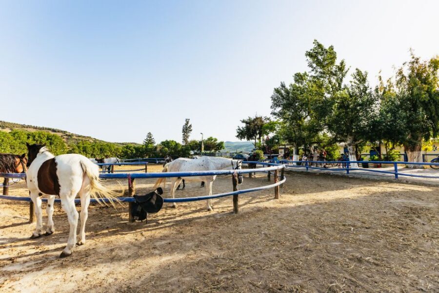 Heraklion: Horse Ride in the Cretan Mountains - Logistics for Heraklion: getting to Finikia without stress