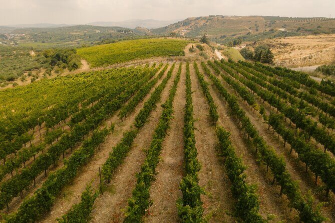 Heraklion Private Half-Day Gastronomy Diaries Experience in Lyrarakis Winery - What you’re paying for (and how to judge value at $276.95)