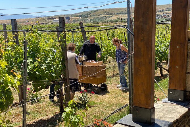 Heraklion Private Half-Day Wine Tasting Tour in Lyrarakis Winery - Price and value: what $183.42 buys you