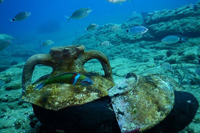 Heraklion: Scuba Diving Experience for Beginners - What you actually practice: signals, breathing, and fish feeding