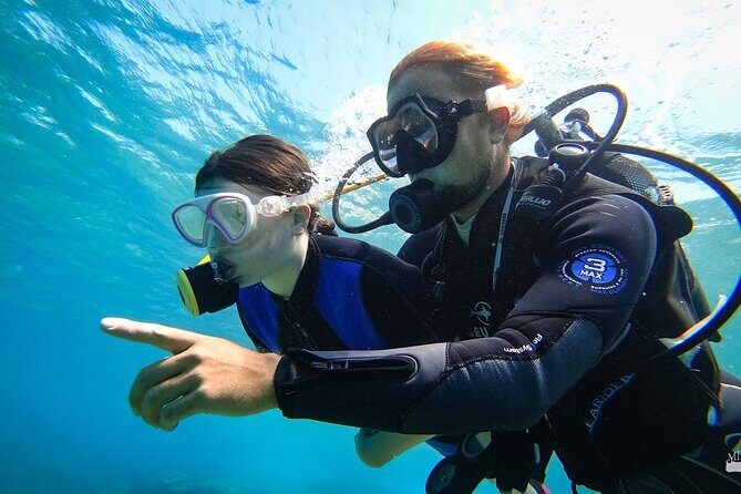 Heraklion: Scuba Diving Experience for First-Timers - What you’ll see near Ligaria (and why it matters)