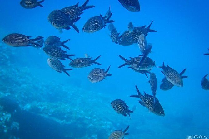 Heraklion: Scuba Diving Experience for First-Timers - The photos moment: remember more than just the nerves