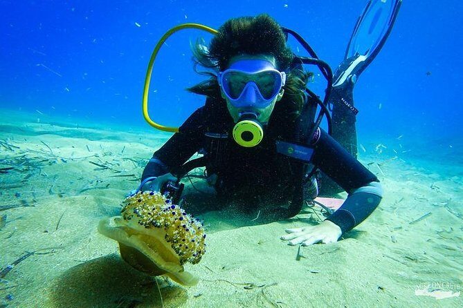 Heraklion: Scuba Diving Experience for First-Timers - Price and value: $84.29 and what you’re really paying for