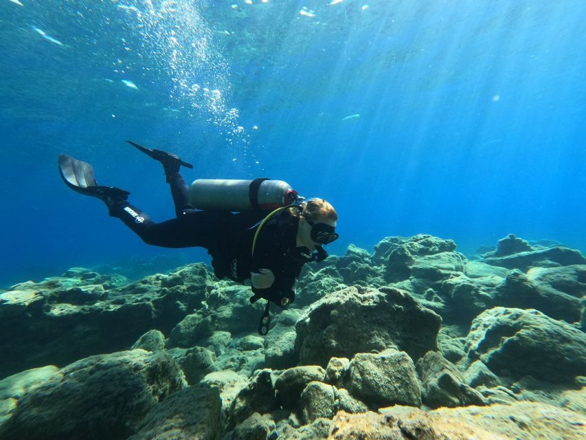 Heraklion: Try Scuba Diving For Beginners (1 dive) - The 4–5 hour schedule: what the day feels like
