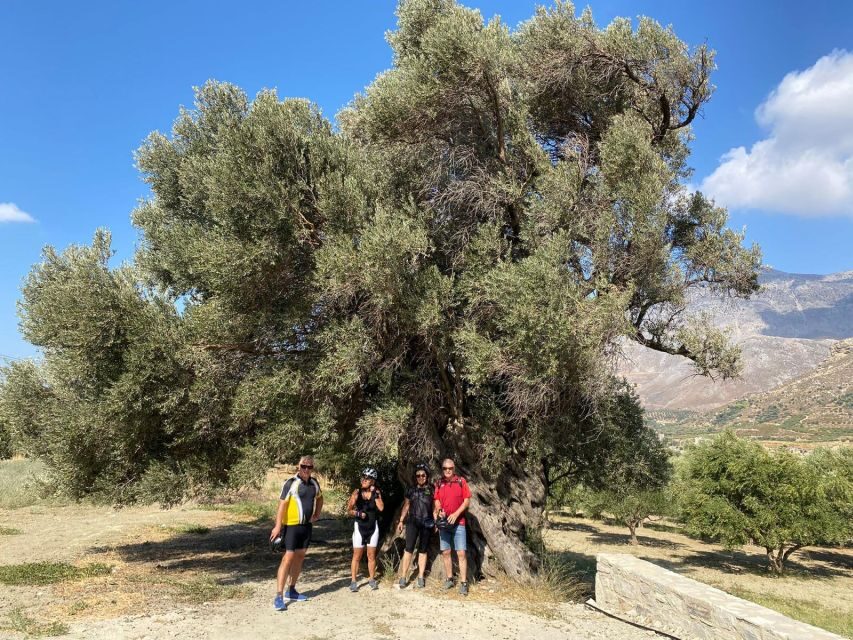 Heraklion: Wine Tasting E-Bike Tour - Who Should Book This Tour (and Who Might Want to Skip It)