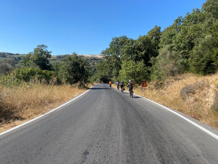 Heraklion: Wine Tasting E-Bike Tour - Price and Value: Is $101 Worth It?