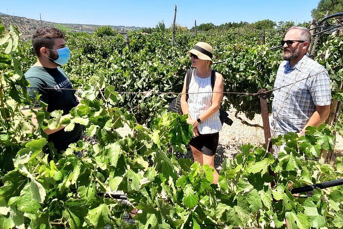 Heraklion wine tour & Cretan meze lunch - The drive between stops: private transportation that keeps you comfortable