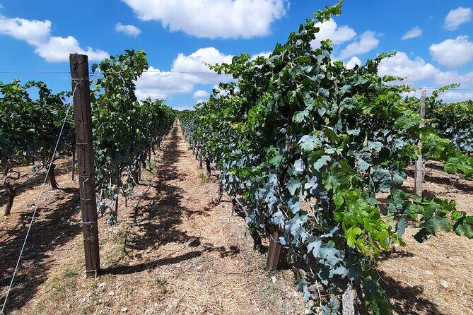 Heraklion wine tour & Cretan meze lunch - Meet Kostas and the value of calm, reliable guidance