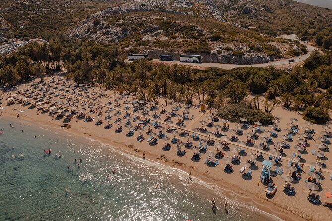 Ierapetra-Makrigialos: Vai Palm Beach, Moni Toplou & Sitia Tour - Vai Beach Palm Paradise: The Best Part of the Day, With One Real Catch