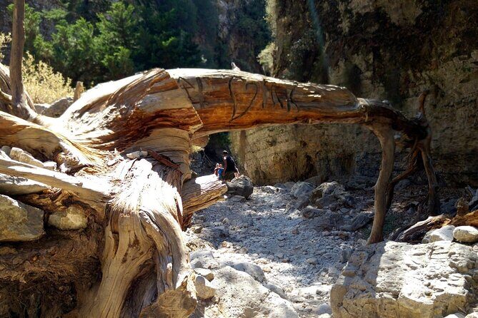 Imbros Gorge Adventure Day Trip from Chania - Price and value: $35.49 with one small extra fee