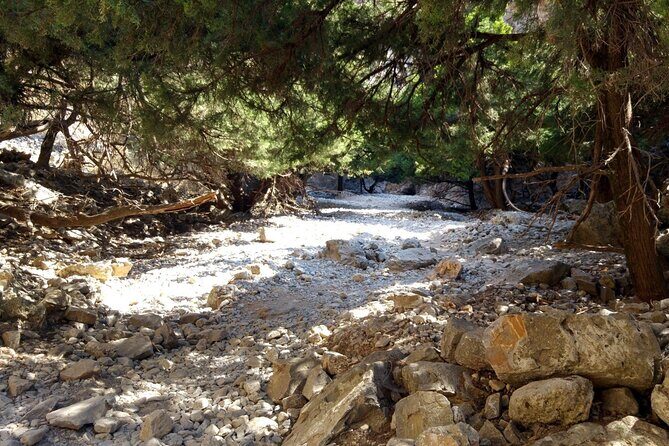 Imbros Gorge Adventure Day Trip from Chania - What to bring for a smoother day