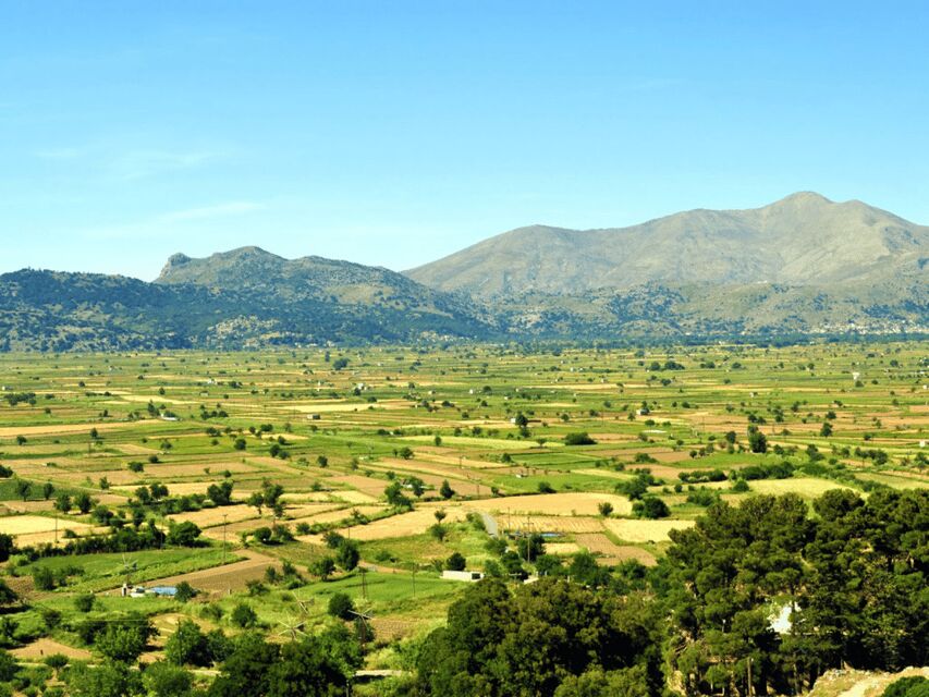 Knossos Palace &/or Zeus Cave + Olive Mill | Local & Private - Monastery Time and a Pottery Workshop That Keeps It Hands-On
