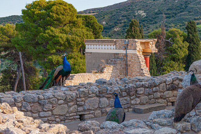 Knossos Palace Private Walking Tour - Storerooms and the Bull-Leaping Fresco replica