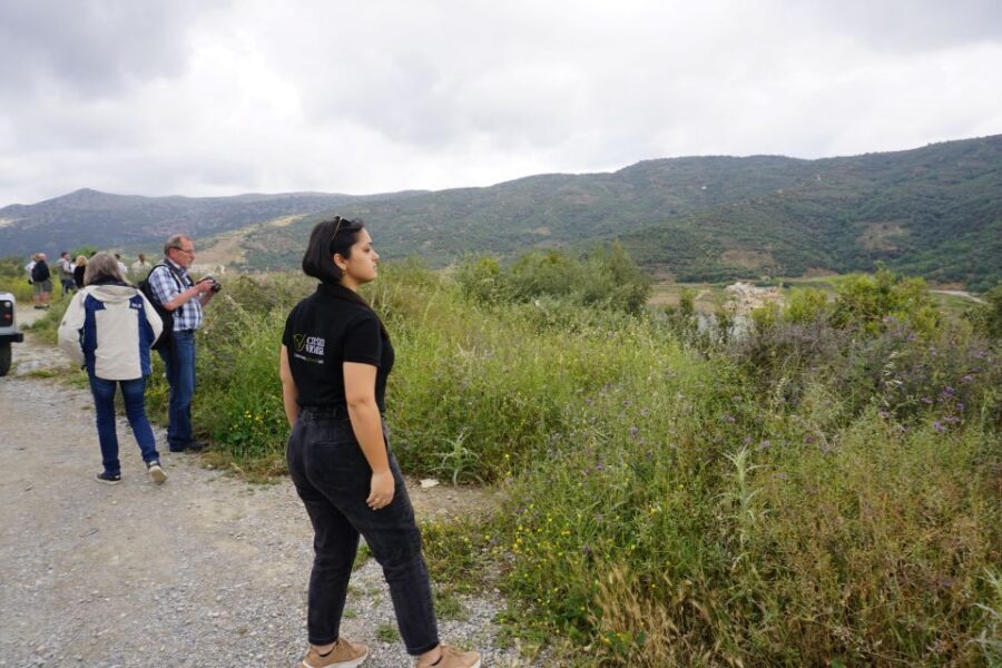 Lasithi Plateau & Zeus Cave: Myths and Villages Tour - Krasi: The 2000-Year-Old Plane Tree, Stone Springs, and Lunch With Wine