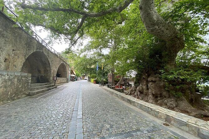 Lasithi - Zeus Cave -Olive Oil Factory - Traditional Villages - Stop 6: Krasi’s Monumental Plane Tree and the 100-Years Rule