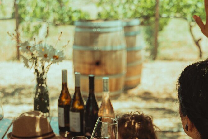 LUXURY PRIVATE Wine Tasting in CRETE (also for CRUISE SHIPS) - Key things you’ll notice on this Crete wine tasting