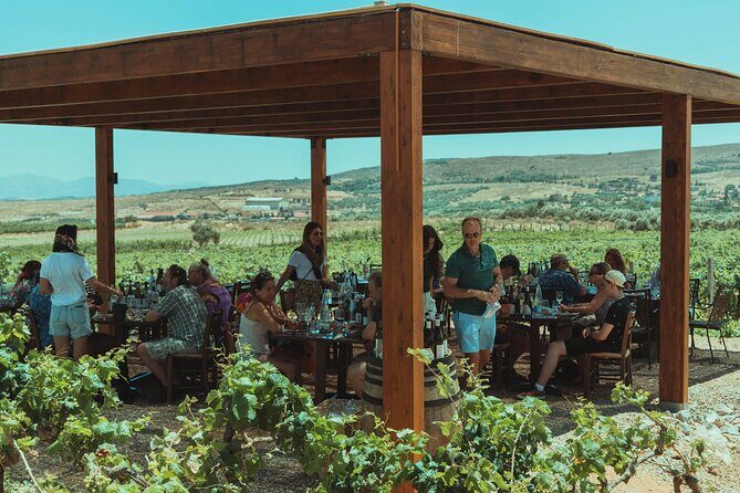 LUXURY PRIVATE Wine Tasting in CRETE (also for CRUISE SHIPS) - Price and value: why $197.06 can make sense for a private tasting