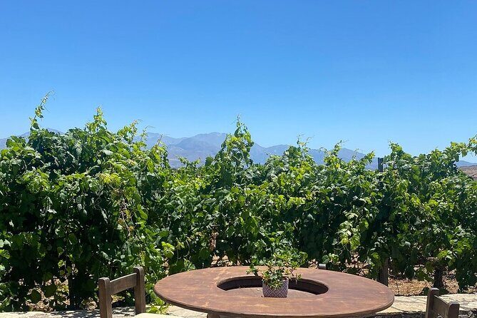 Minoan Crete: Knossos Palace, Winery Visit and Lunch at Archanes - Price and value: what you’re paying for, and what costs extra