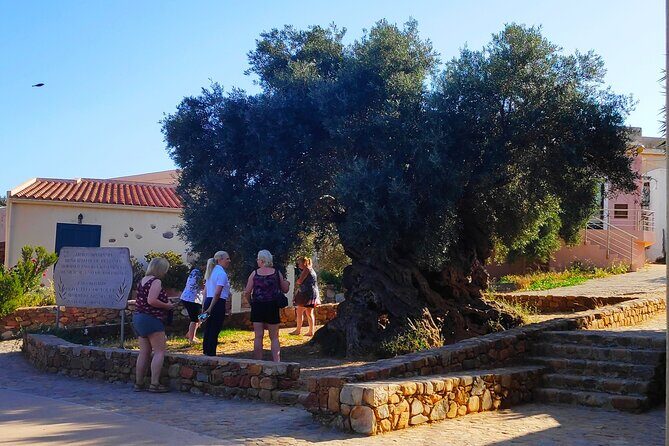 Monastery - Ancient Olive tree & Museum-Cretan Brewery Private Tour from Chania - Stop 3: Cretan Brewery S.A. and the Charma beer process