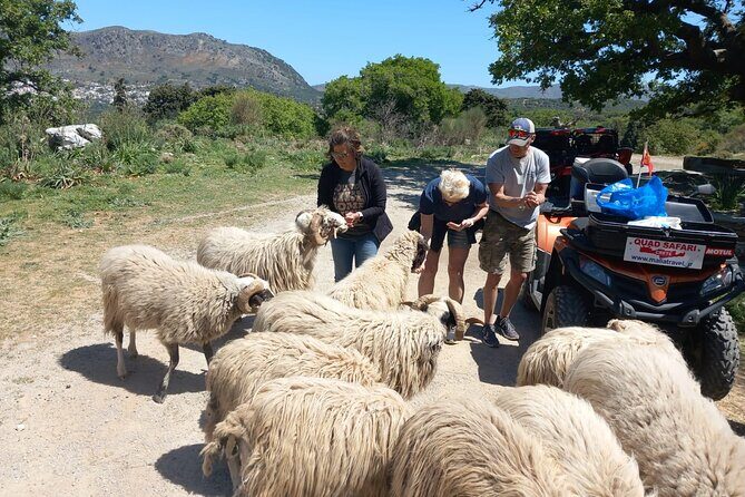 Off-road Buggy Safari in Crete with a Guide - Malia Palace (Minoa Palace) Outside Tour: Short, Focused, and Photo-Friendly