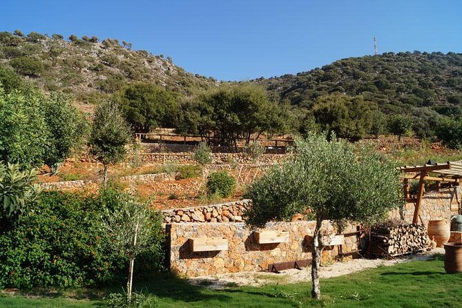 Olive Mill Festival - The Wine Tasting Portion: Cretan Flavor in a Relaxed Setting