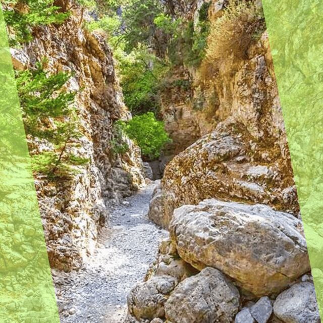 Platanias : Imbros Gorge Superb Hiking Tour - Who should book this tour (and who might skip it)